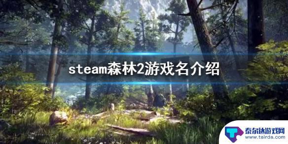 森林2游戏英文名 《森林之子》steam版游戏介绍及评价