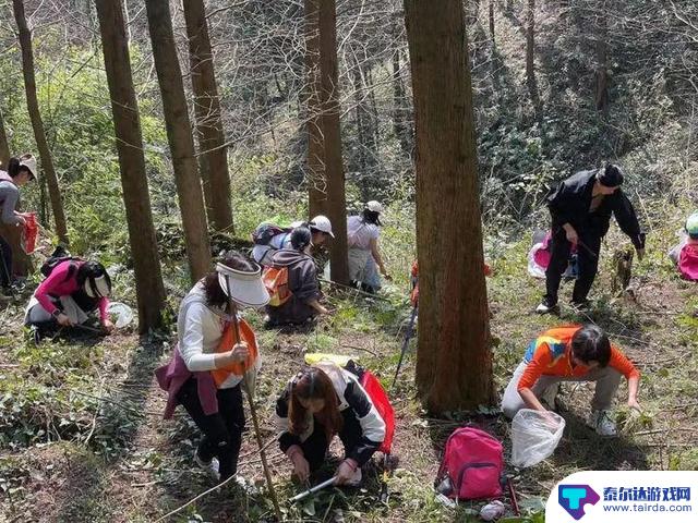 医生紧急提醒：周末山里“打野”需注意安全