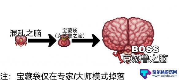 泰拉瑞亚的战士毕业饰品 毕业饰品推荐 泰拉瑞亚战士