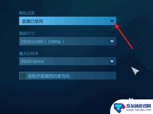 steam直播怎么语音 Steam如何开直播教程