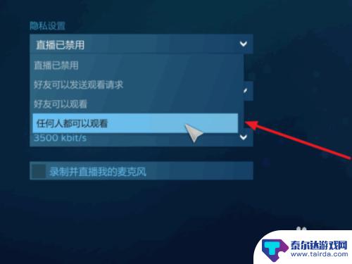 steam直播怎么语音 Steam如何开直播教程