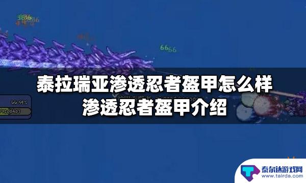 泰拉瑞亚1.4渗透忍者 泰拉瑞亚渗透忍者盔甲属性