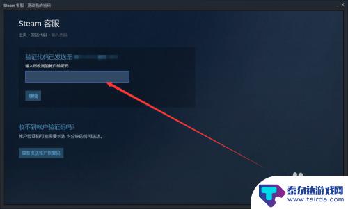 steam改密码怎么输验证码 Steam密码修改教程