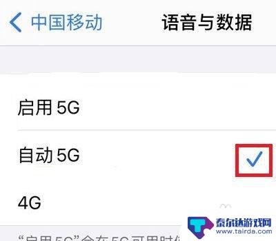 苹果手机4G5G怎么设置 苹果手机5G设置方法