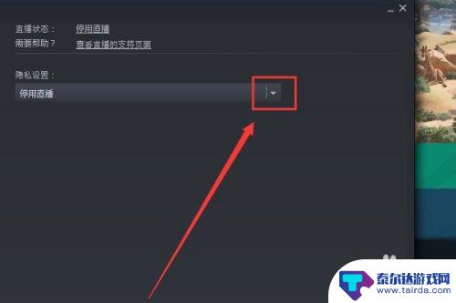 steam 录播 如何在Steam上开直播