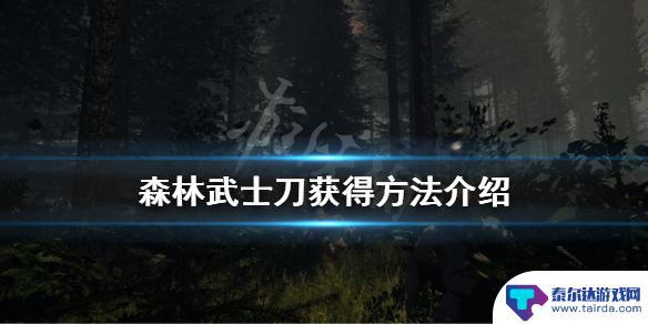 steam森林刀 《森林》武士刀怎么获得