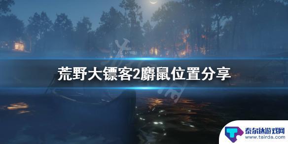 荒野大镖客2 麝鼠 麝鼠刷新点分享《荒野大镖客2》