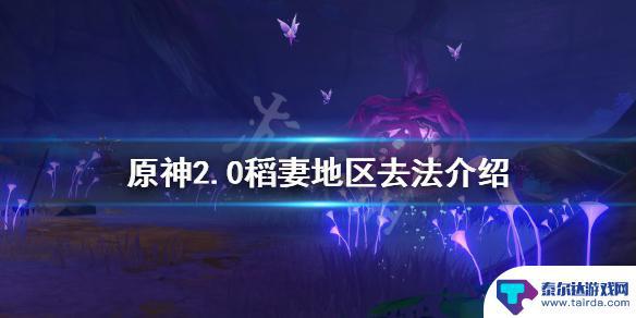 原神稻 《原神》2.0稻妻地区怎么去