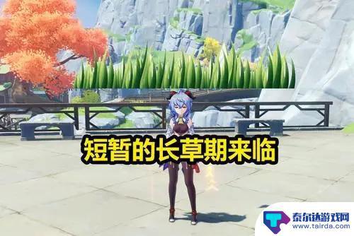 原神长草期是什么级别 原神长草期是什么概念