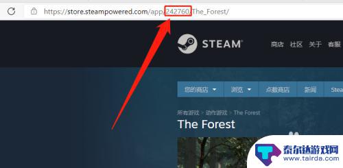 steam怎么看游戏id 在Steam上查看游戏的ID方法