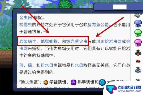 泰拉瑞亚捕捉地狱的蜗牛 泰拉瑞亚如何在岩浆中钓鱼