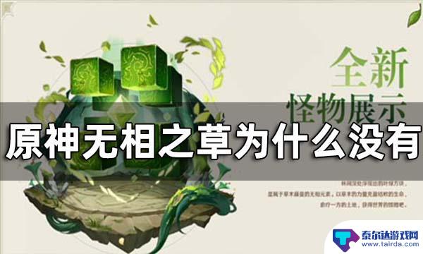 原神怎么找到无相之草 原神无相之草位置图解