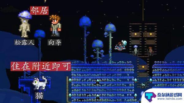 泰拉瑞亚住房分配 泰拉瑞亚居民如何分配