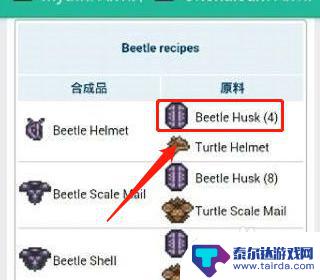 泰拉瑞亚甲虫套哪里搞 泰拉瑞亚甲虫套怎么获得