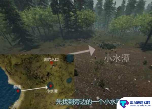 森林steam手电筒怎么拿 手电筒在森林中如何获得