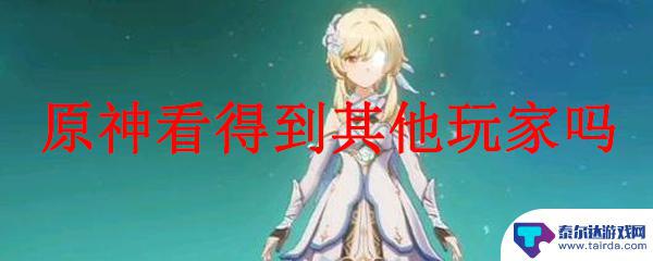 原神可以看到其他玩家吗 原神多人模式可以看到其他玩家吗