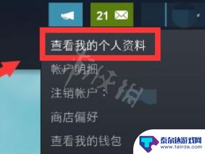 steam怎么设置看不到好友 steam如何隐藏游戏不让好友看到