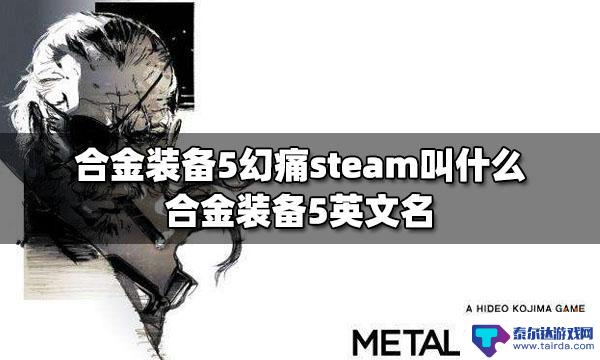 合金装备5幻痛steam叫啥名 合金装备5幻痛steam价格