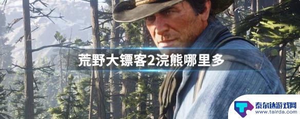 荒野大镖客2哪有熊 荒野大镖客2浣熊捕捉技巧