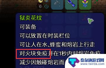 泰拉瑞亚对火块免疫是什么意思 泰拉瑞亚火块免疫作用