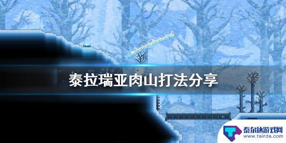 泰拉瑞亚肉山该打哪里 肉山打法技巧分享