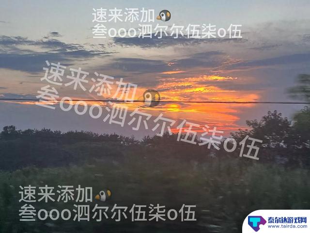 无名之辈：最强阵容搭配玩法全解析，新手入门指南