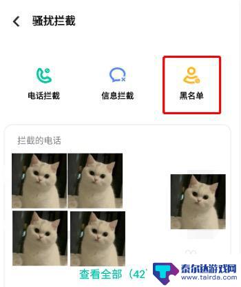 ⅴiv0手机通讯录黑名单在哪里 vivo手机黑名单在哪个菜单中