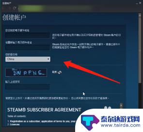 steam怎么注册名字 Steam账号名称起什么好