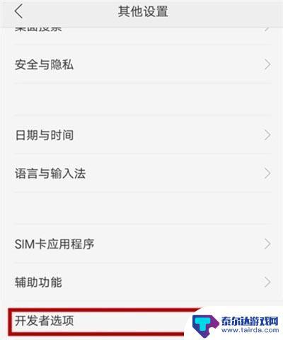 realme手机usb调试开关在哪 realme Q usb调试怎么开启