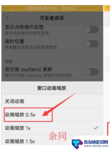 开发者模式如何设置手机性能最佳 开发者模式如何设置更流畅