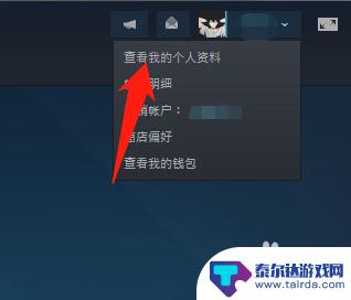 steam不看好友玩的游戏 怎样设置Steam不让好友看到自己在玩什么游戏