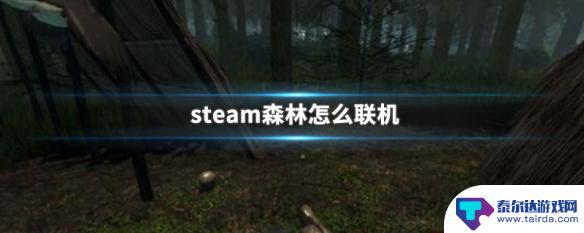 森林steam怎么联机 Steam森林怎么联机玩