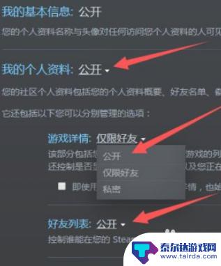 手机steam怎么隐藏游戏 手机Steam隐私设置公开方法