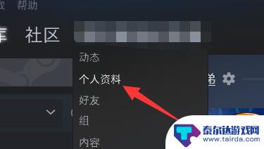 公开steam个人资料 steam资料怎么公开