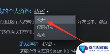 公开steam个人资料 steam资料怎么公开