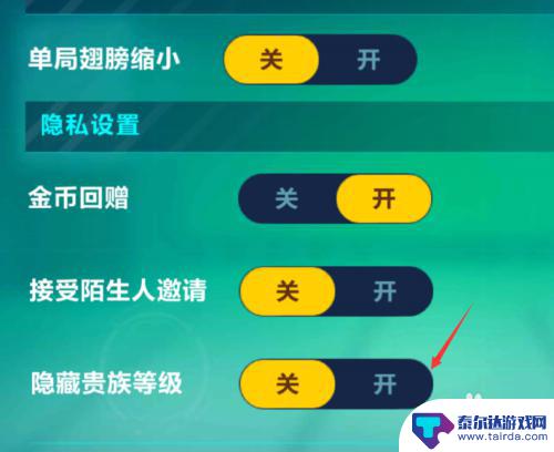 qq飞车手游怎么关闭vip显示 QQ飞车手游怎么隐藏贵族等级