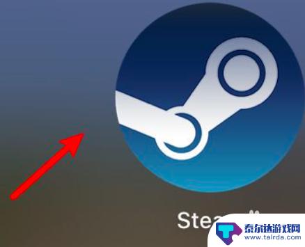 如何调steam图标大小 如何在Steam中设置库界面显示大图标