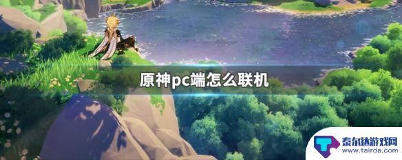 原神电脑怎么自己开联机 原神PC端联机教程