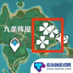 原神苹果在哪里采集? 《原神》苹果收集点位攻略