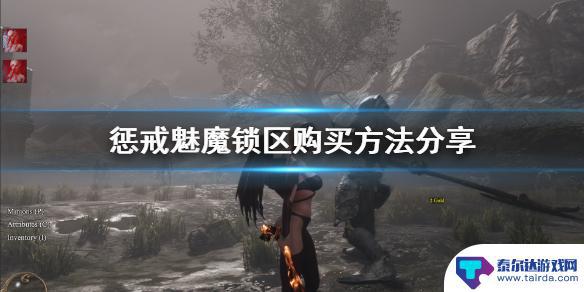 steam国区怎么买惩戒魅魔 《惩戒魅魔》锁区账号购买步骤分享