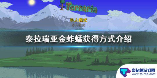 泰拉瑞亚蚂蚱 《泰拉瑞亚》金蚱蜢获得方法