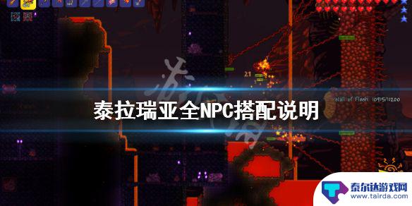 泰拉瑞亚npc魔法师奖励 《泰拉瑞亚》1.4版本全NPC搭配攻略