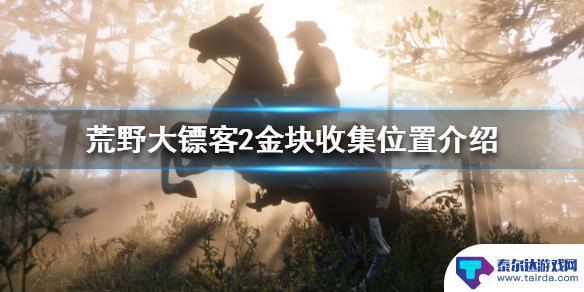 荒野大镖客2100金块 荒野大镖客2金块收集攻略