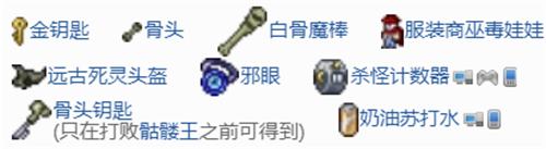 泰拉瑞亚下地狱带什么装备 泰拉瑞亚地牢有什么好东西掉落