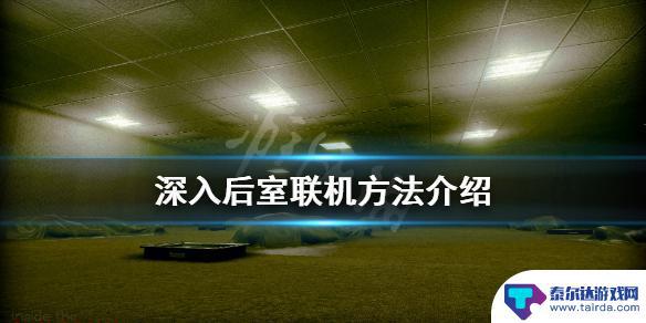 后室怎么连机 《深入后室》联机玩法介绍