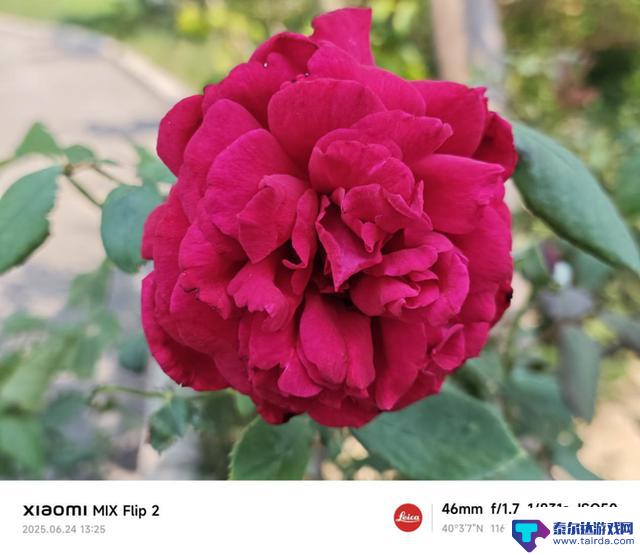 小米MIX Flip 2手机评测:折叠屏新宠,女性时尚必备单品