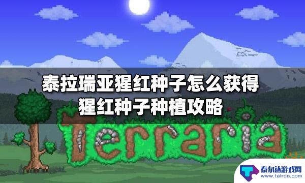 泰拉瑞亚合成种子 泰拉瑞亚中种植猩红种子攻略