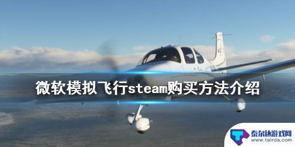 steam微软飞行模拟器购买 steam购买微软模拟飞行2020教程