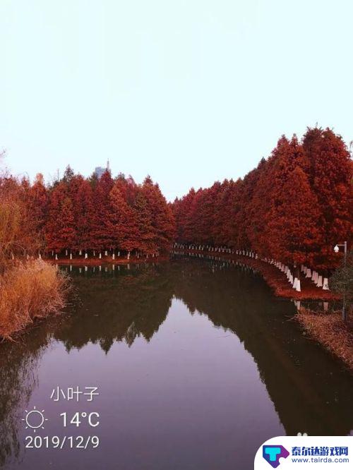 手机照片怎么填时间 怎样在手机照片上添加时间和日期
