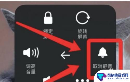 iphone手机上原神没有声音怎么搞? 原神苹果手机外放没有声音如何处理